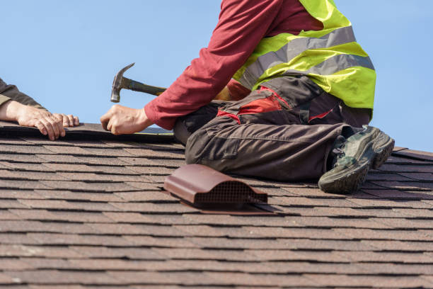 Best Shingle Roofing Installation  in Clinton, KY