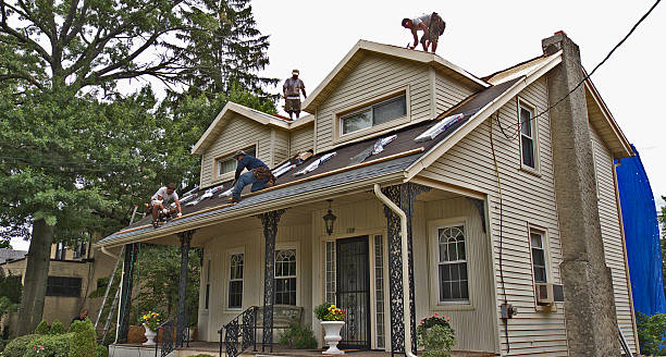 Best Storm Damage Roof Repair  in Clinton, KY